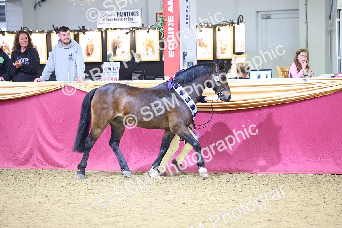 SBM_18612 - Class B Junior Champ 11-16 years