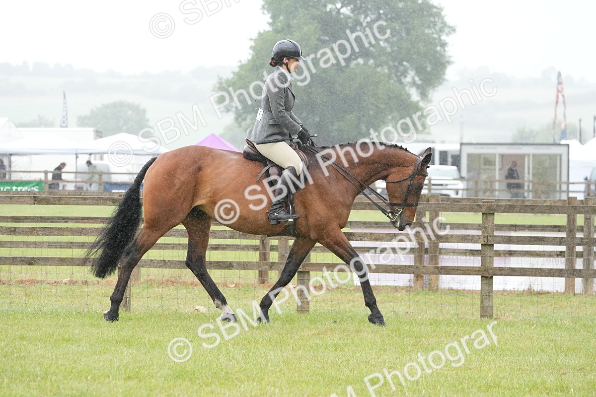 SBM_12641 - Class 97-98 - LIHS BSHA Rising Star Working Show Horse Hunter