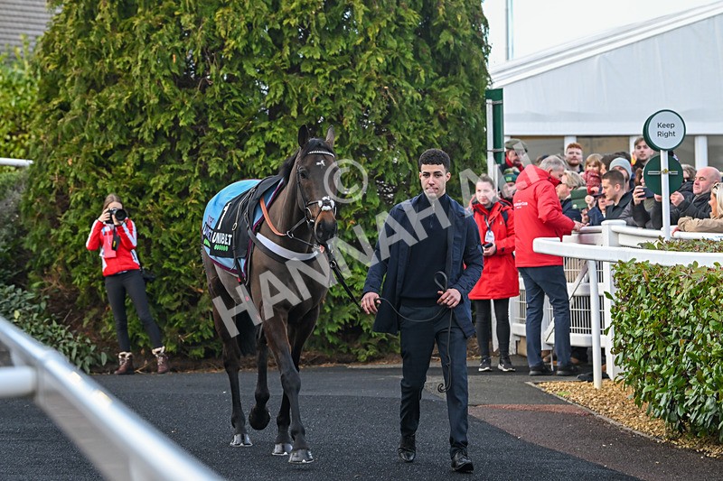 250125-Race 5-Constitution Hill-4527 - Race 5