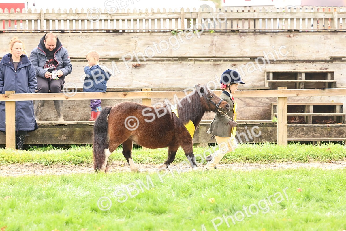SBM_59757 - Start Supreme Championship
