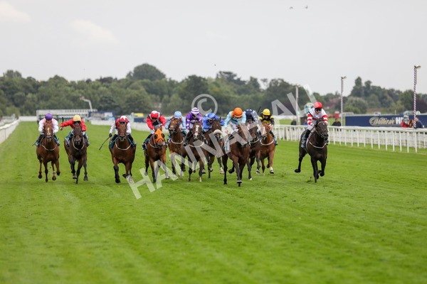 120724-Race 6-The Coffee Pod-1800 - Race 6 4.55pm Irish Thoroughbred Marketing Handicap