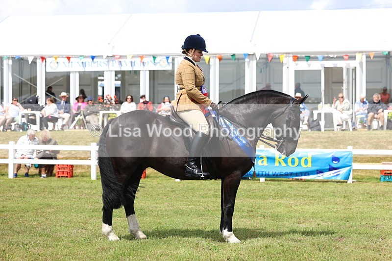 3E7A0690 - Rising Star Ridden Championship