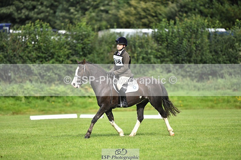 230826-100324-15340 - Sections C & D 9 to 10am