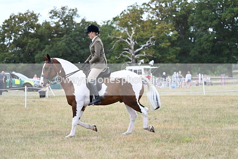WJ7_4981 - Class 12 Ridden Cob