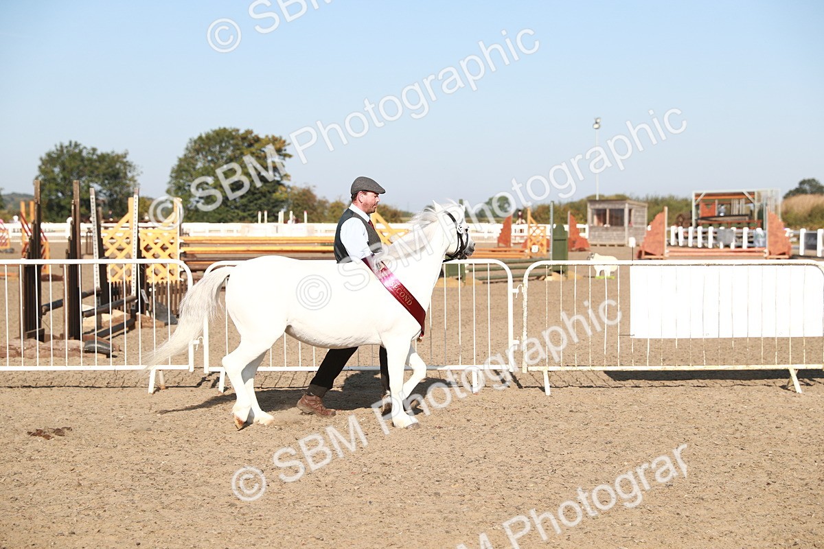 SBM_00163 - Class 40 Best Turned Out IH