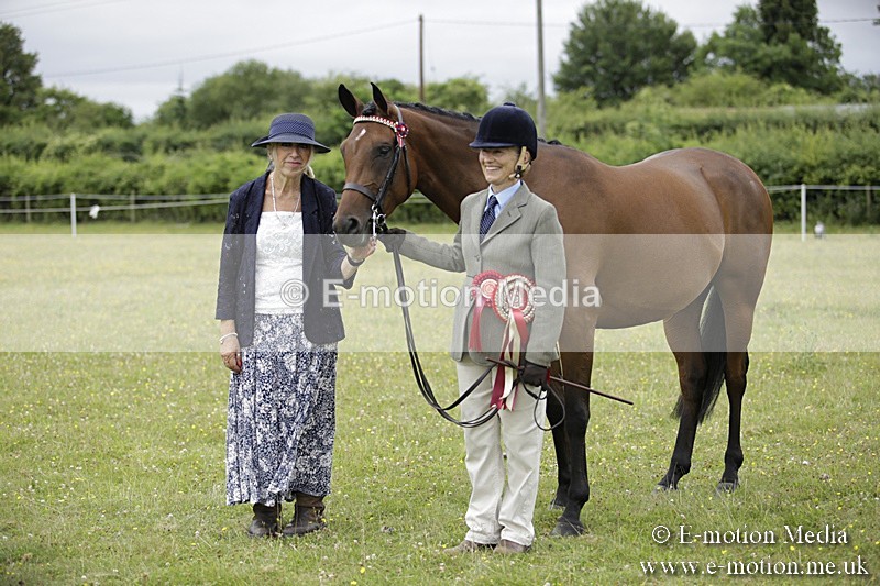 BVR160717-1126 - In Hand Championship 16/07/17