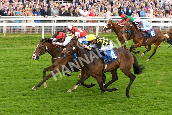 yr21052022r1-21 - Race 1: 1:40pm William Hill Play Responsibly Stakes