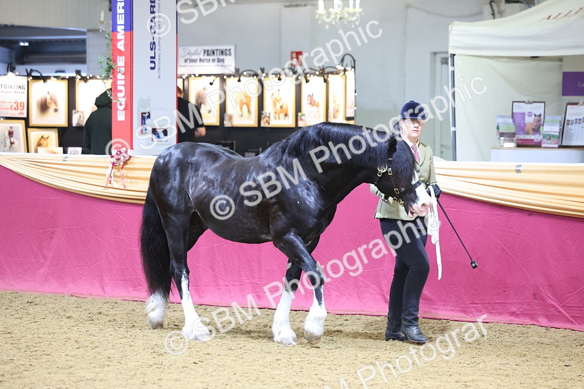 SBM_20944 - Class 902 - Supreme Final IH Veteran