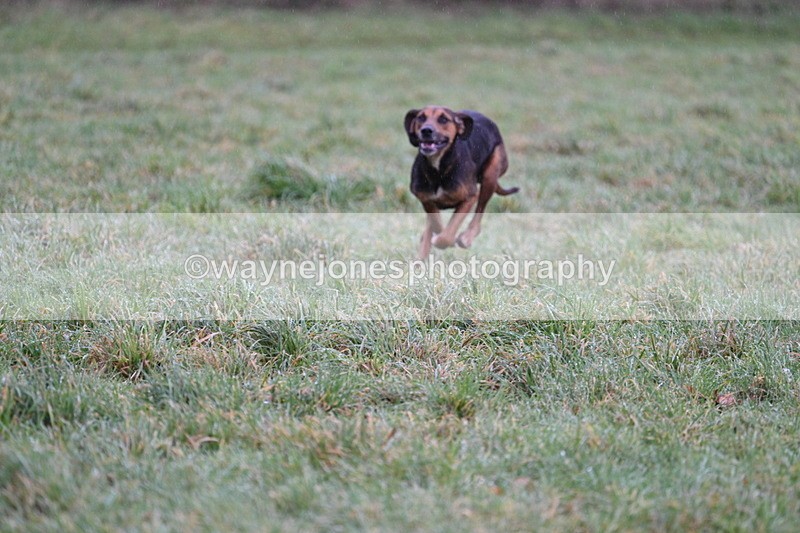 WJ7_6795 - Cam A