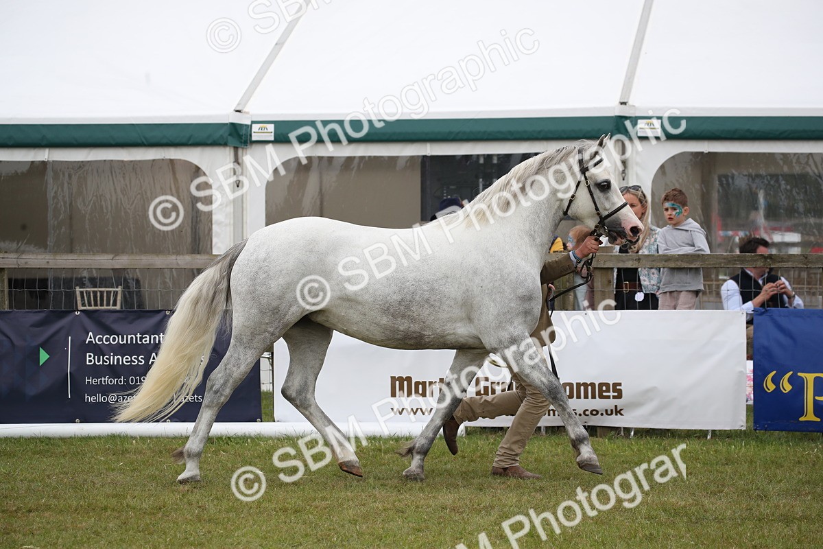 SBM_09789 - Ch 50 - Price Family Supreme In Hand