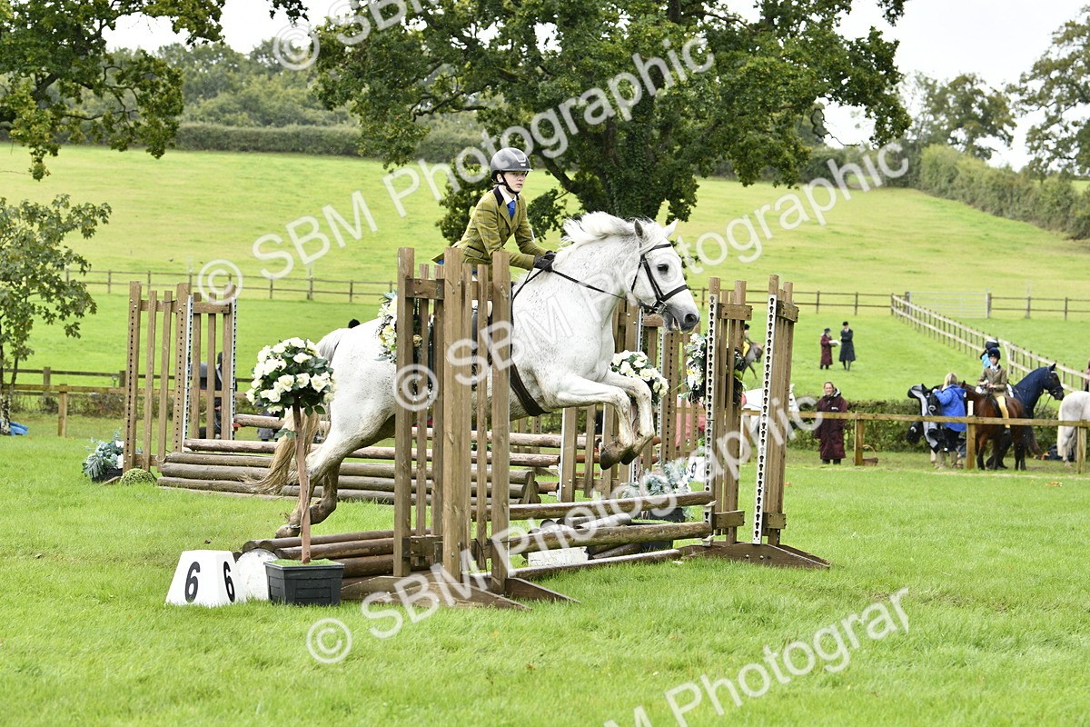 SBM_41426 - S32 - Mountain & Moorland Working Hunter Pony