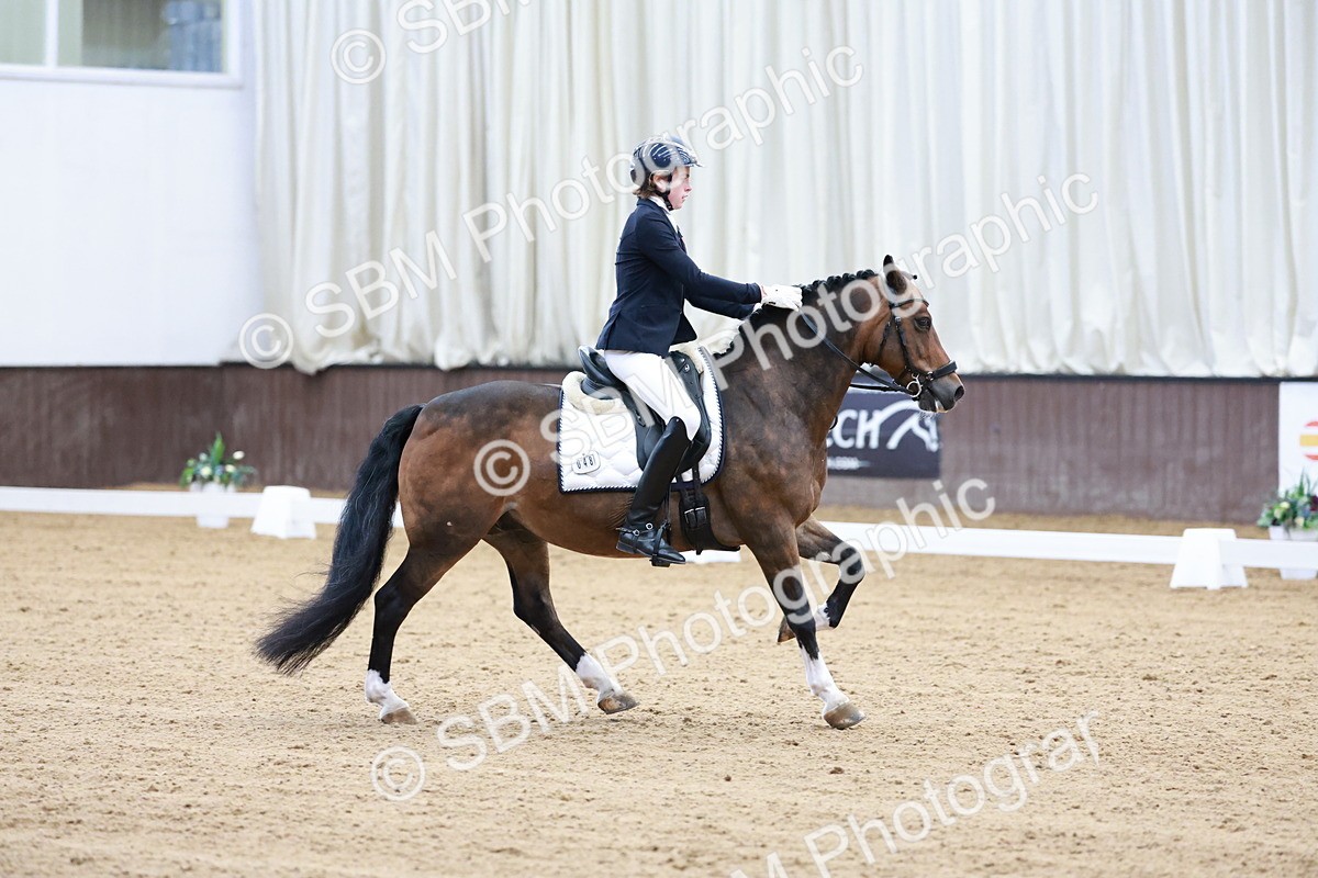 SBM_017158 - Class15 - FEI Pony