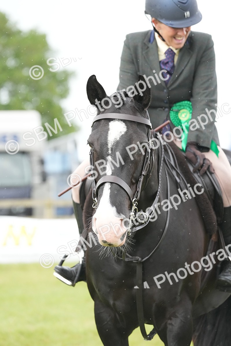 SBM_12809 - Class 97-98 - LIHS BSHA Rising Star Working Show Horse Hunter
