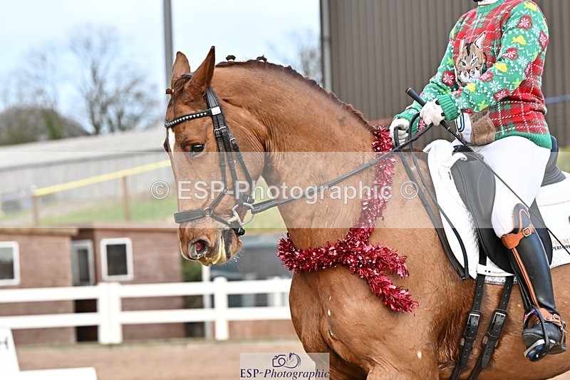 241214-150738-03109 - 137-Tyler.Bradshaw-Gijsbert