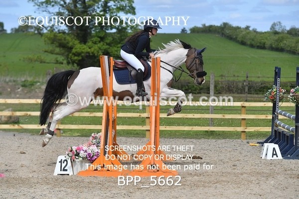 BPP_5662 - CLASS 24 SUN Senior BritiNovice/ 90cm Open