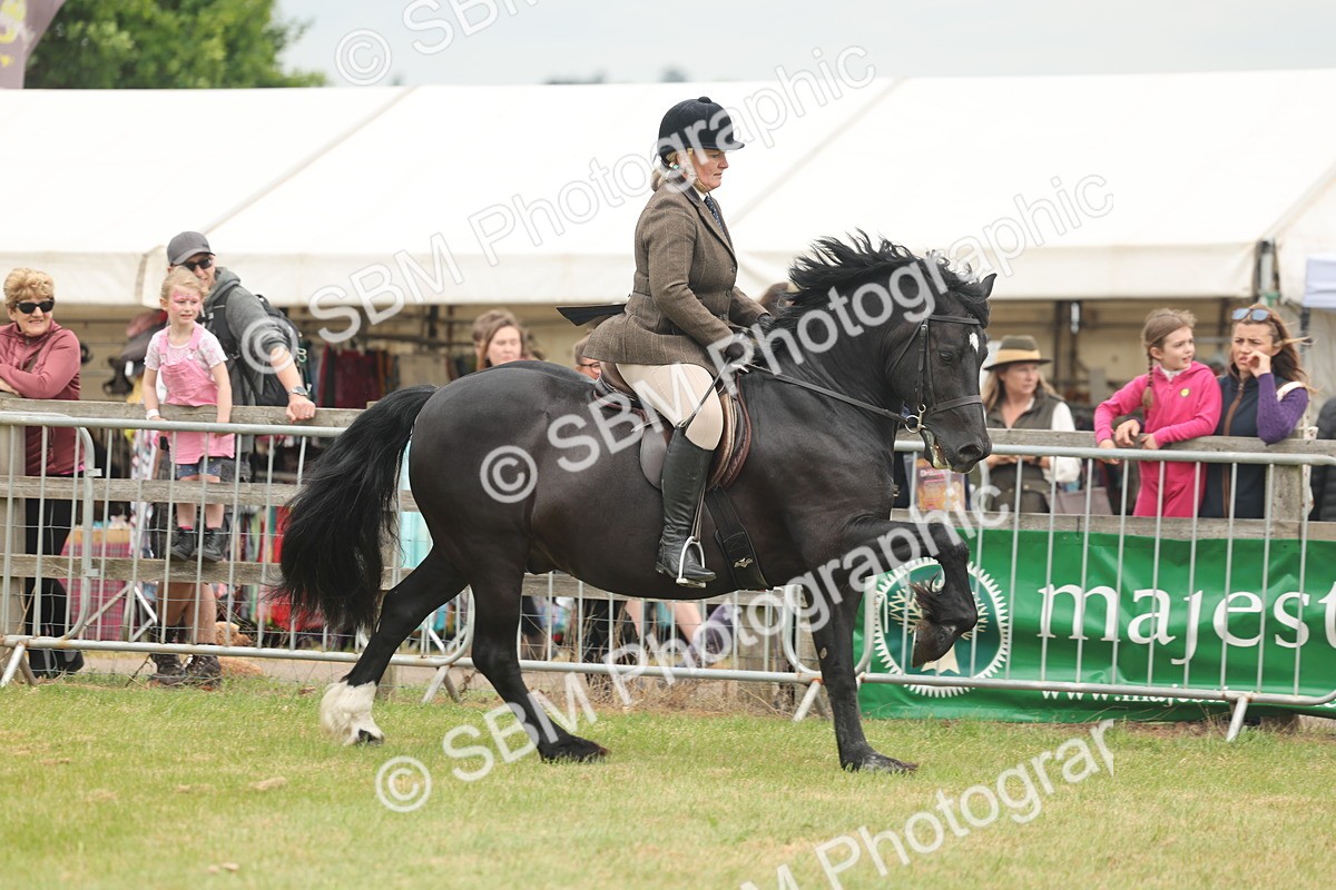 SBM_07190 - Class 76-77 - Ridden M&M Welsh Ponies