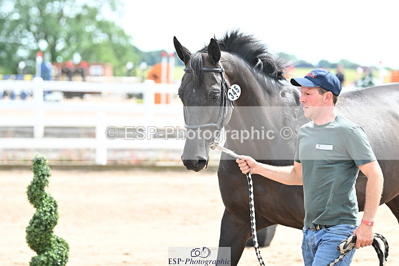 240717A-144131-02204 - Trot Up 2pm to 3pm - This folder is not in time order