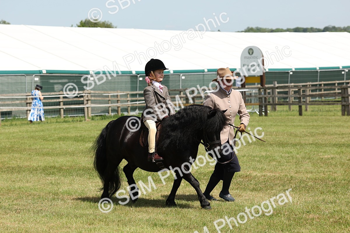 SBM_05259 - Class 24-25 - Mountain & Moorland In Hand Lead Rein and First Ridden