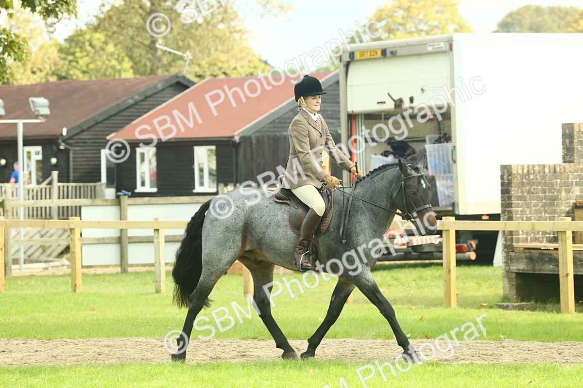 SBM_62611 - S63 - Other Coloured Horse Ridden