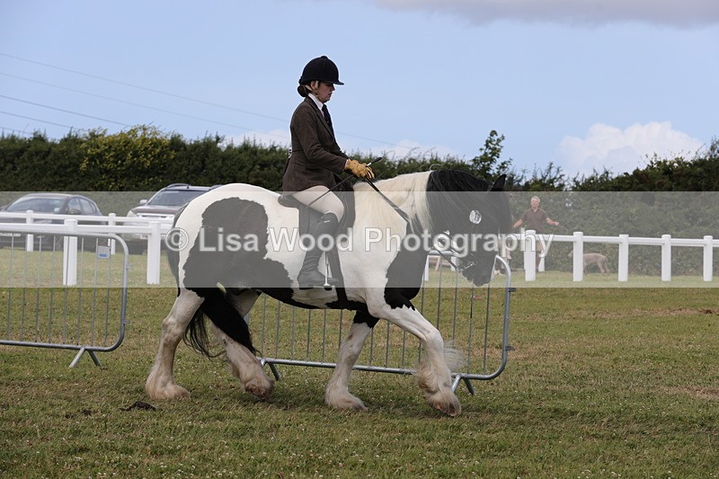 1X9A4341 - Class 34: Veteran Ridden