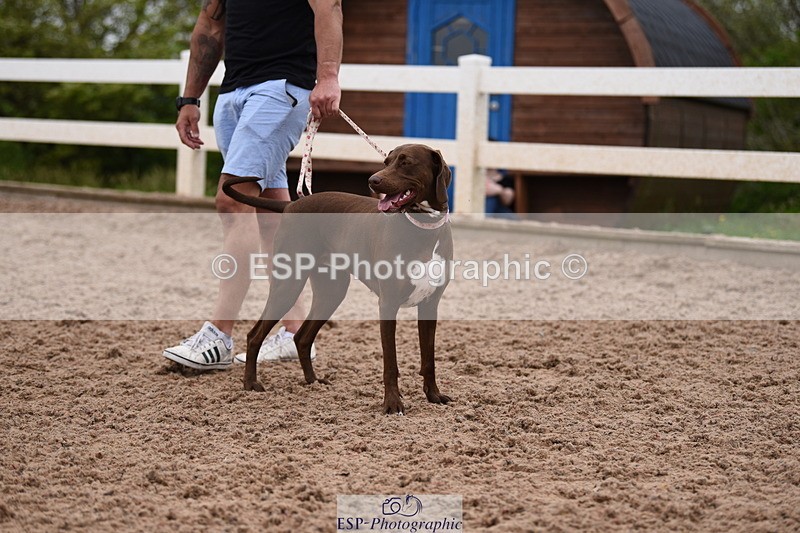 240518A-122236-01134 - Cls 4 Best Crossbred