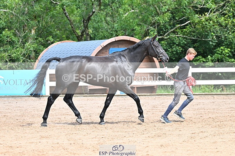 240718A-105246-01138 - Trot Up 12pm to 1pm