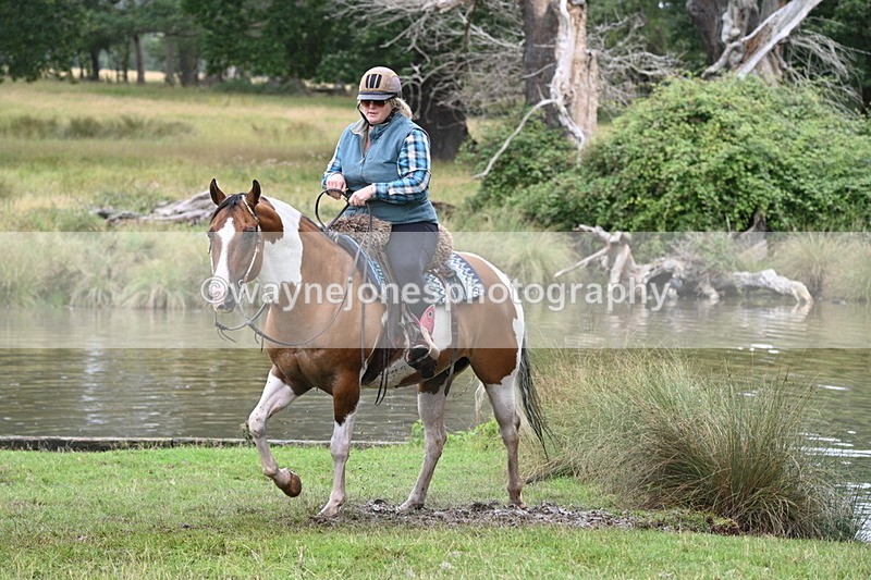 WJ7_3072 - Time at Water 11:37 to 12:13