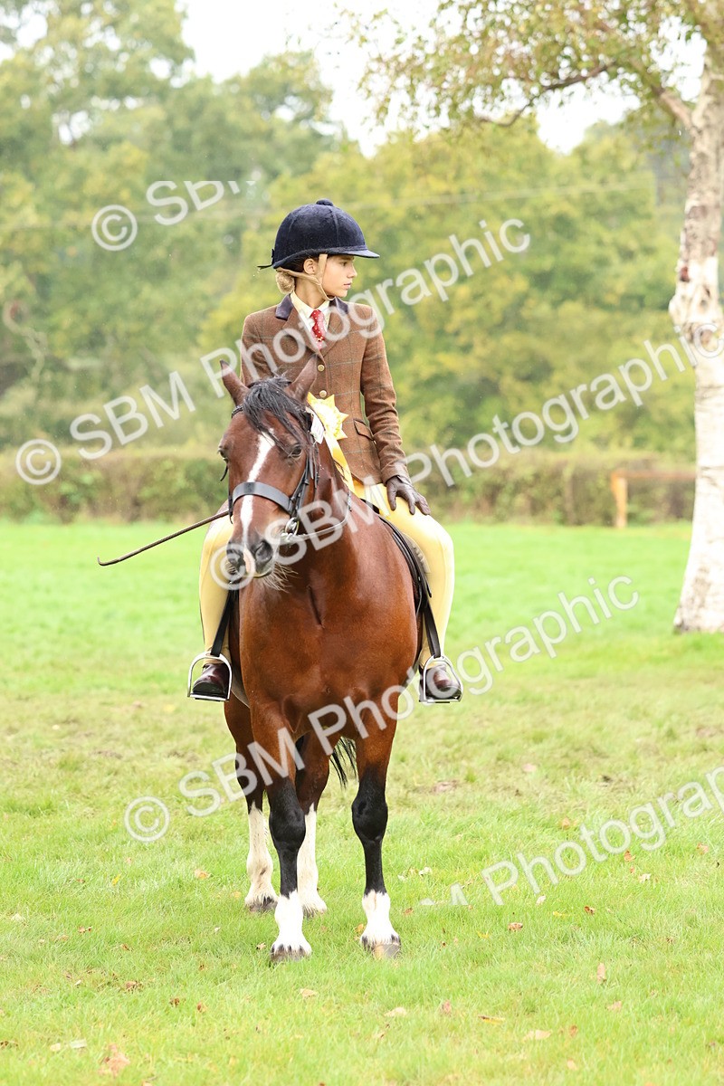 SBM_69760 - S62 - Mountain & Moorland Ridden Large Breeds