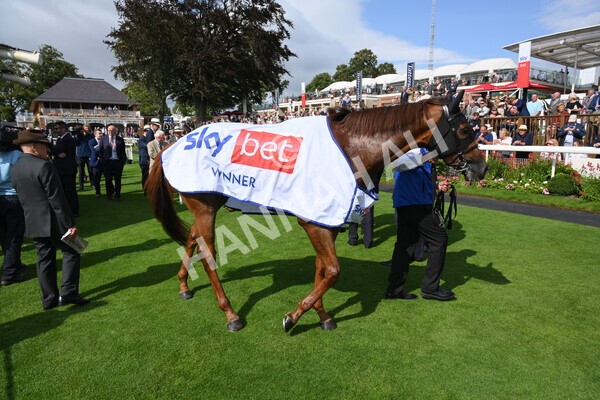 yr18082021r3-110 - Race 3 3.00pm Sky Bet Great Voltigeur Stakes