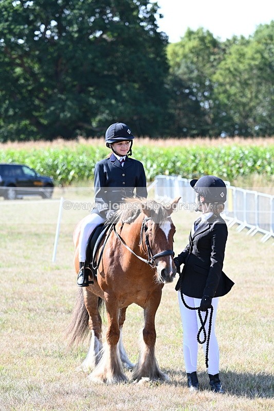 WJ7_3166 - Class 8 Ridden Tack & Turnout