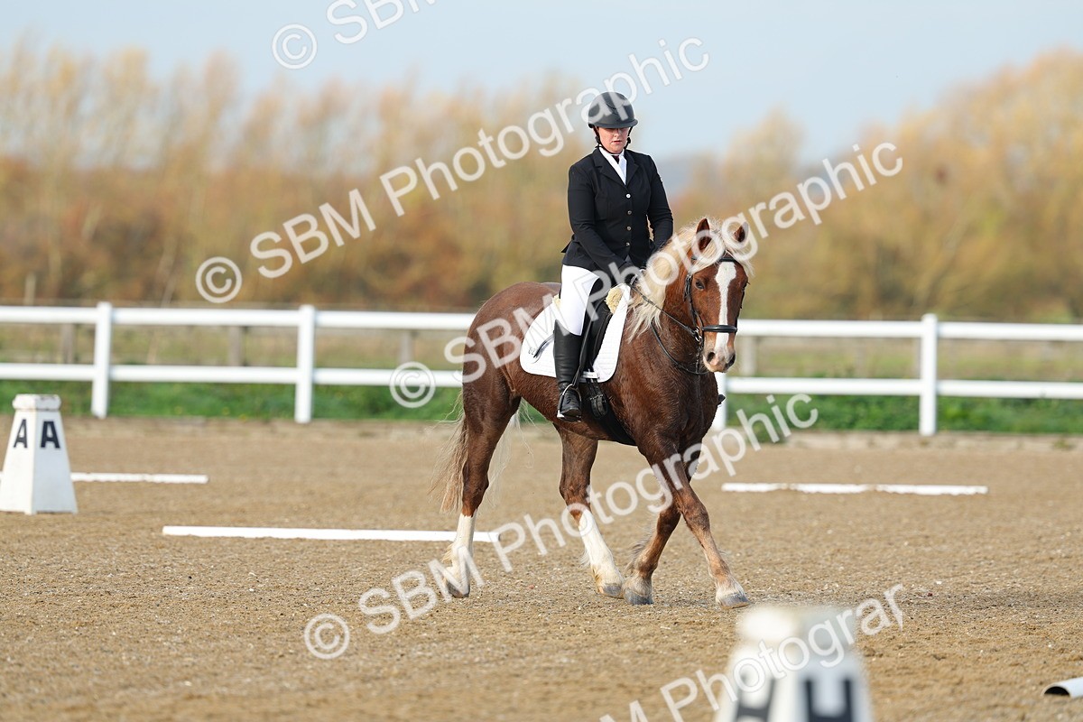 SBM_003082 - Class 2 - Intro 3