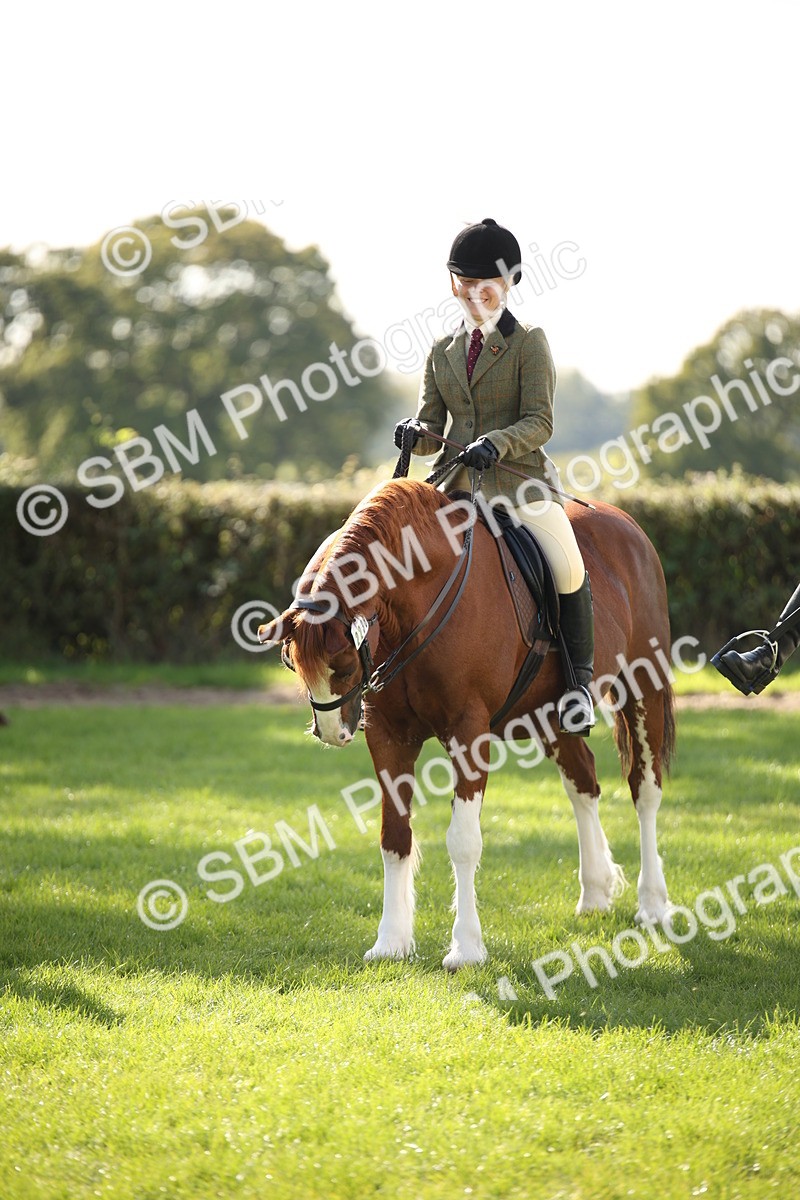 SBM_50085 - S26 - Young Veteran - Ridden