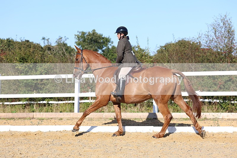3E7A5207 - Class 7: Novice Ridden Hunter/Hack/RH/Cob
