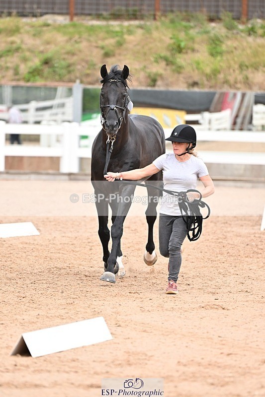 250716-143819-01249 - Trot Up 2.30 to 3.30