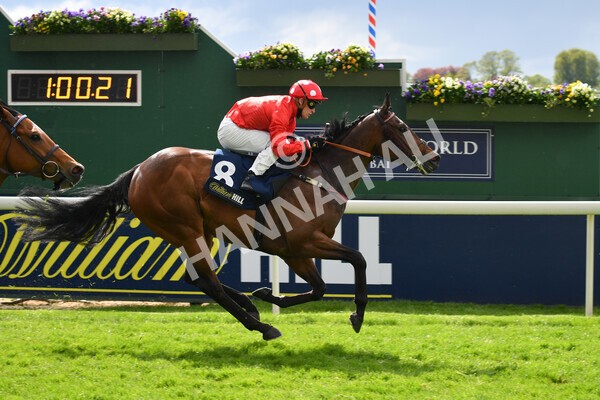 yr22052021r4-34 - Race 4 3.50pm WilliamHill.com Best Odds Guaranteed Stakes