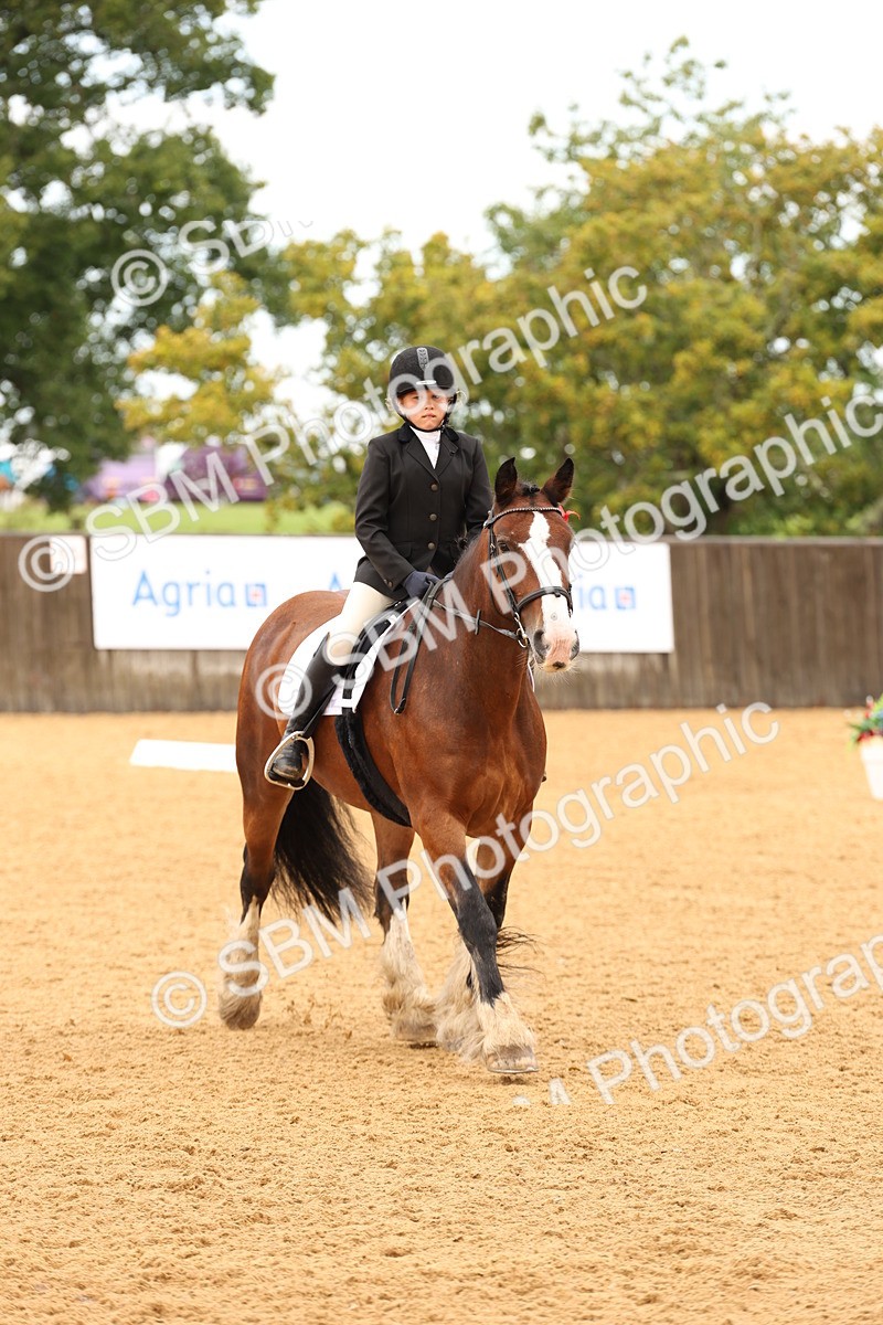 SBM_03433 - D1 - Small Tour Championship Intro 1
