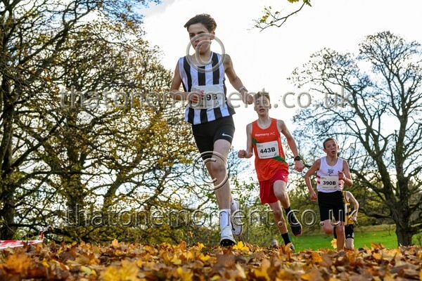 NatRel25-914512 - Young Male Set Two