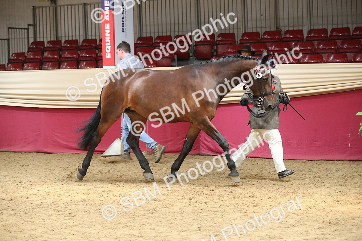 SBM_05453 - Class 8R - Regional IH Veteran