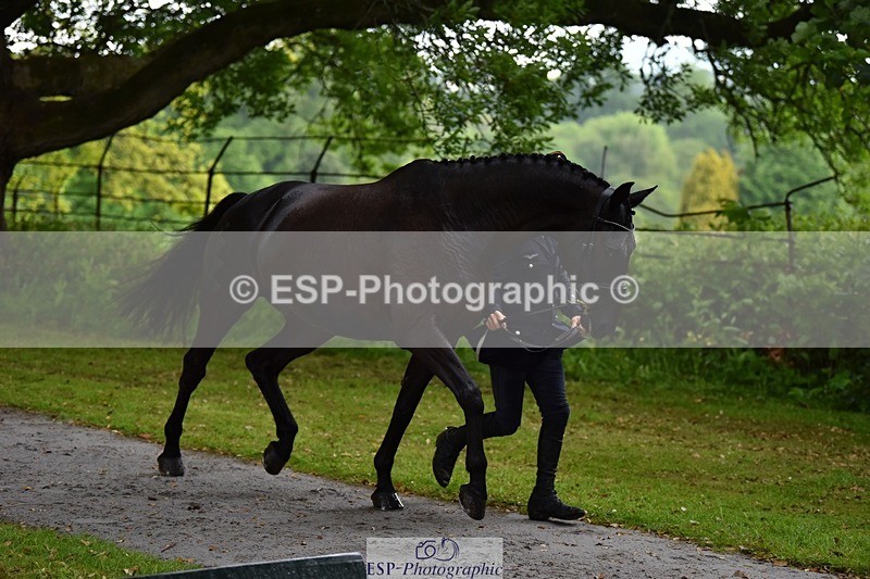 240522-152842-00368 - 359-PROMISING_PETE_TSF-Felix_Etzel