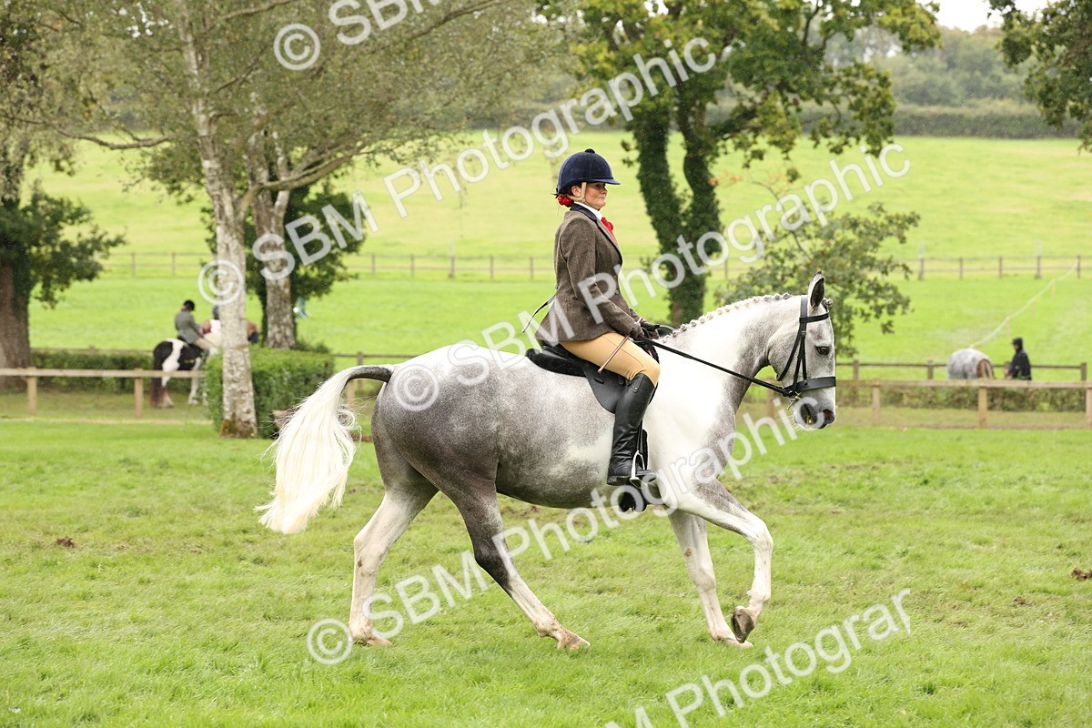 SBM_69890 - S68 - Other Coloured Horse Ridden