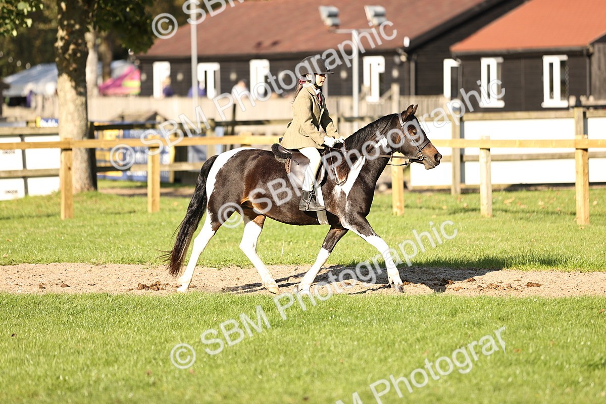 SBM_29419 - S7 - Novice & Newcomers Ridden Pony