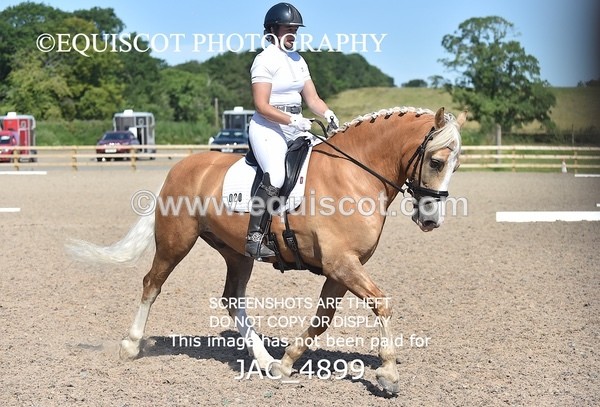 JAC_4899 - CLASS 5 / 6  NOVICE Tests 4 / 6