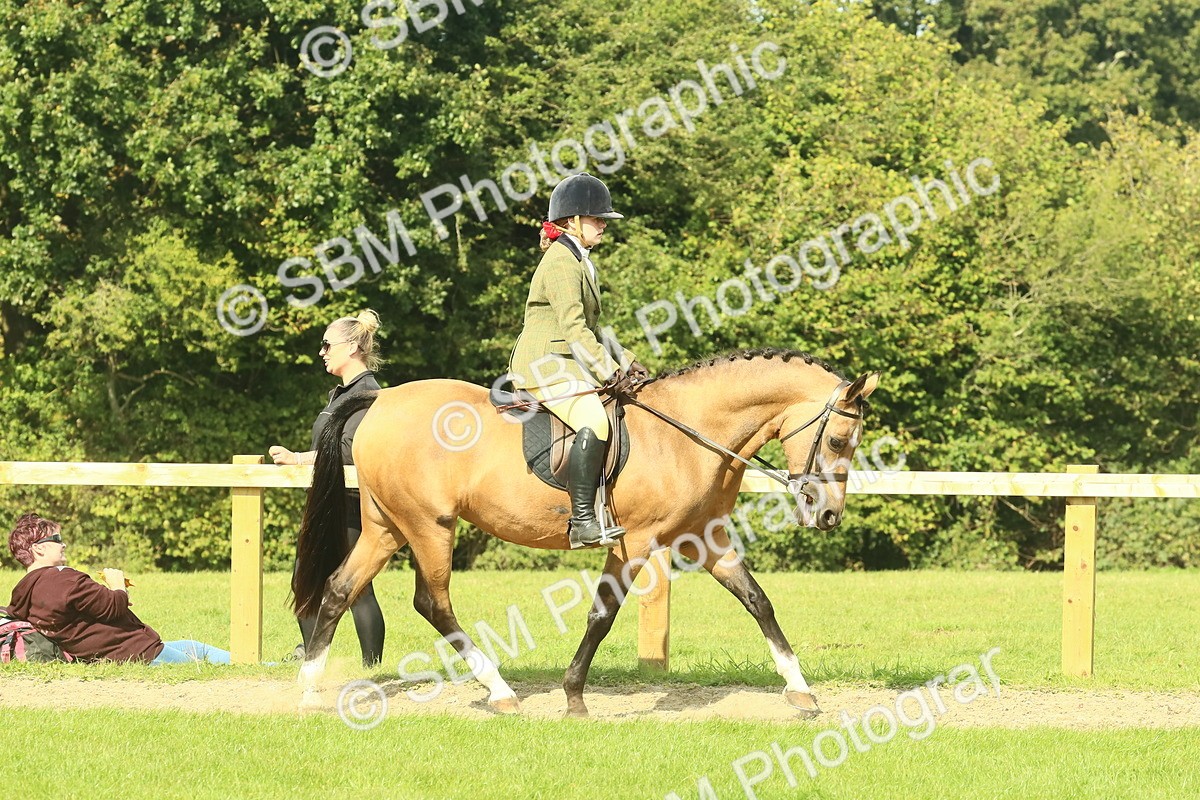 SBM_67402 - S56 - Coloured Pony Ridden