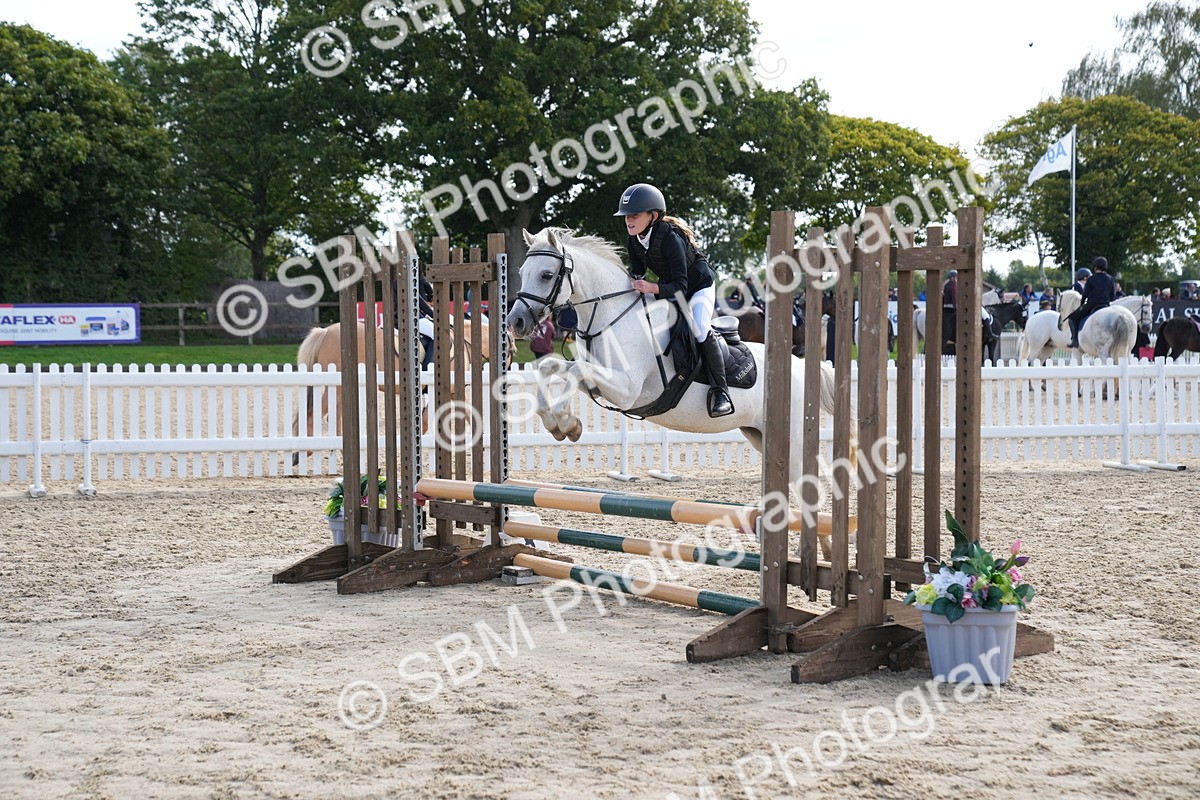 SBM_02574 - J55 - Clear Round 60cm