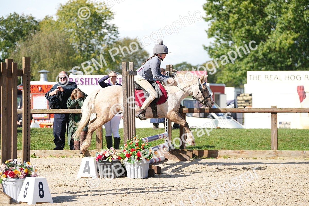 SBM_38311 - J6 - Junior Pony 55cm Championship