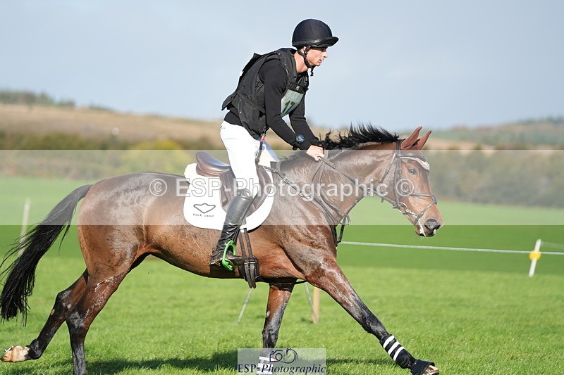 251024A-112123-07216 - A-017-Harrison.Chart