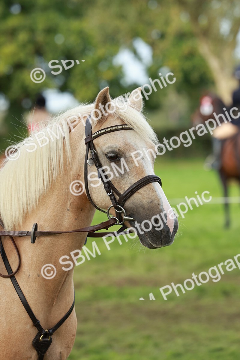 SBM_56452 - S39 - Starters In Hand Showing