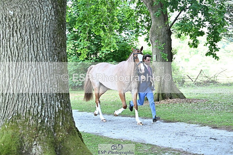 250521A-160902-00938 - C-282-Harry.Meade-NASHVILLE