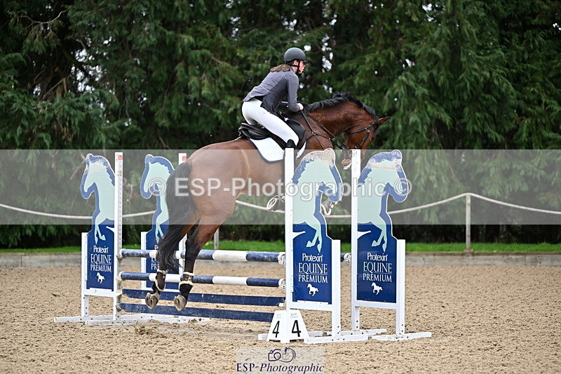 250201A-094559-00057 - Cls 01 Local Horse 90cm