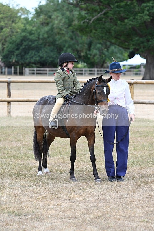 WJ7_0717 - Class 6 Ridden Mountain and Moorland